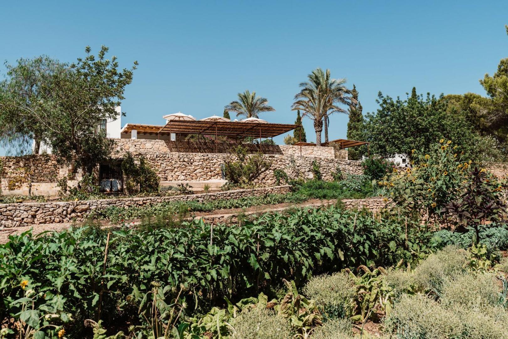 Villa Aguamadera à Santa Eulària des Riu Extérieur photo