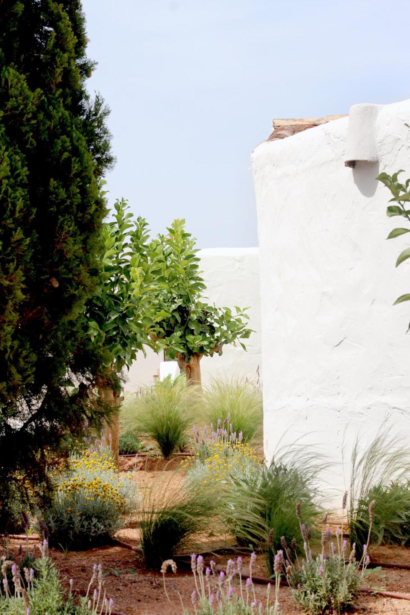 Villa Aguamadera à Santa Eulària des Riu Extérieur photo